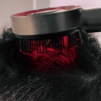 Revitalize Your Hair, Revive Your Confidence!